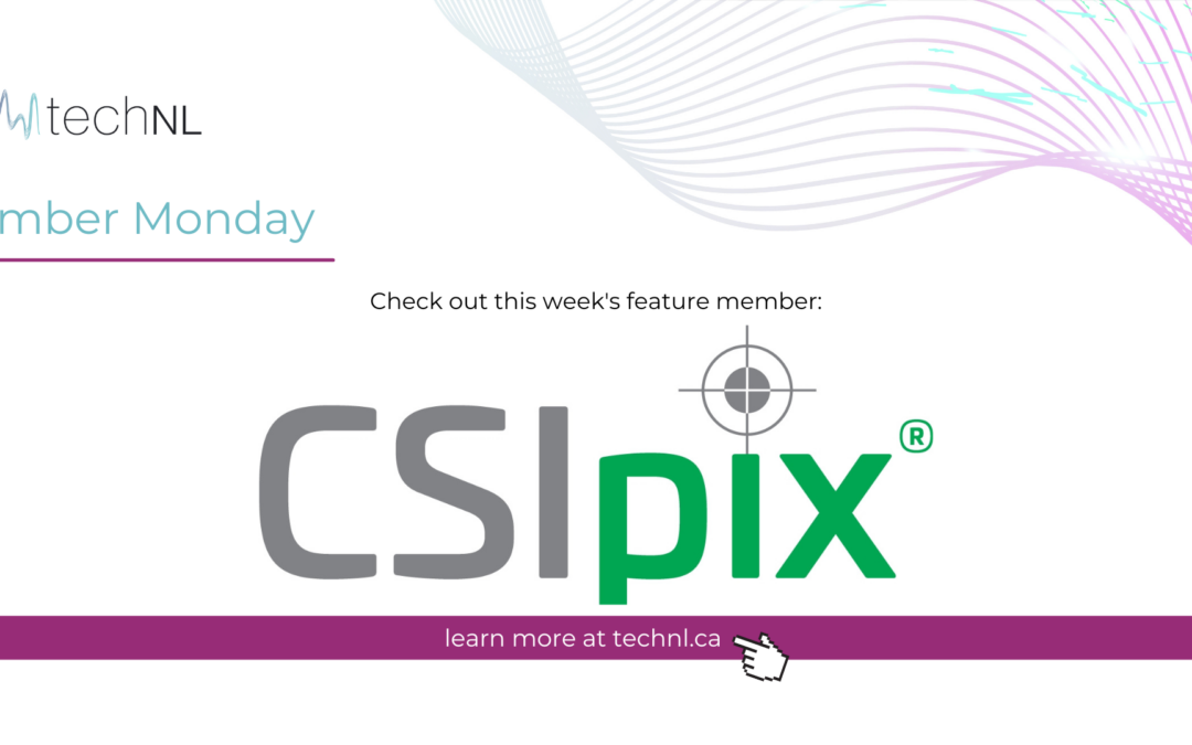 CSIpix®