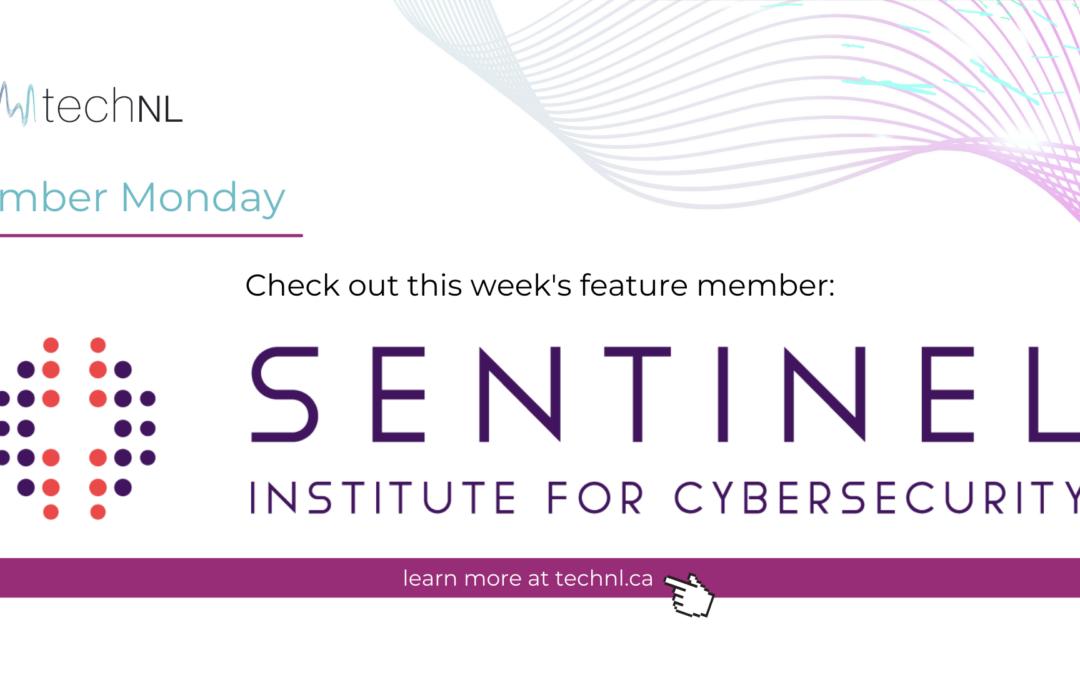 Sentinel Institute for Cybersecurity